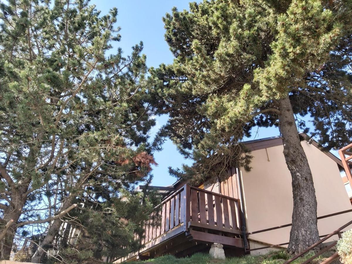 Chalet De L Ours Bolquere Bagian luar foto